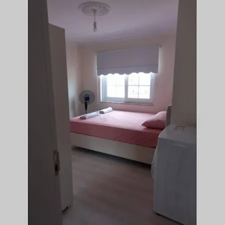 Begonville Superior Apart